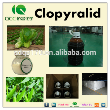 Herbicida Clopyralid 95% TC 30% SL 75% WDG CAS 1702-17-6